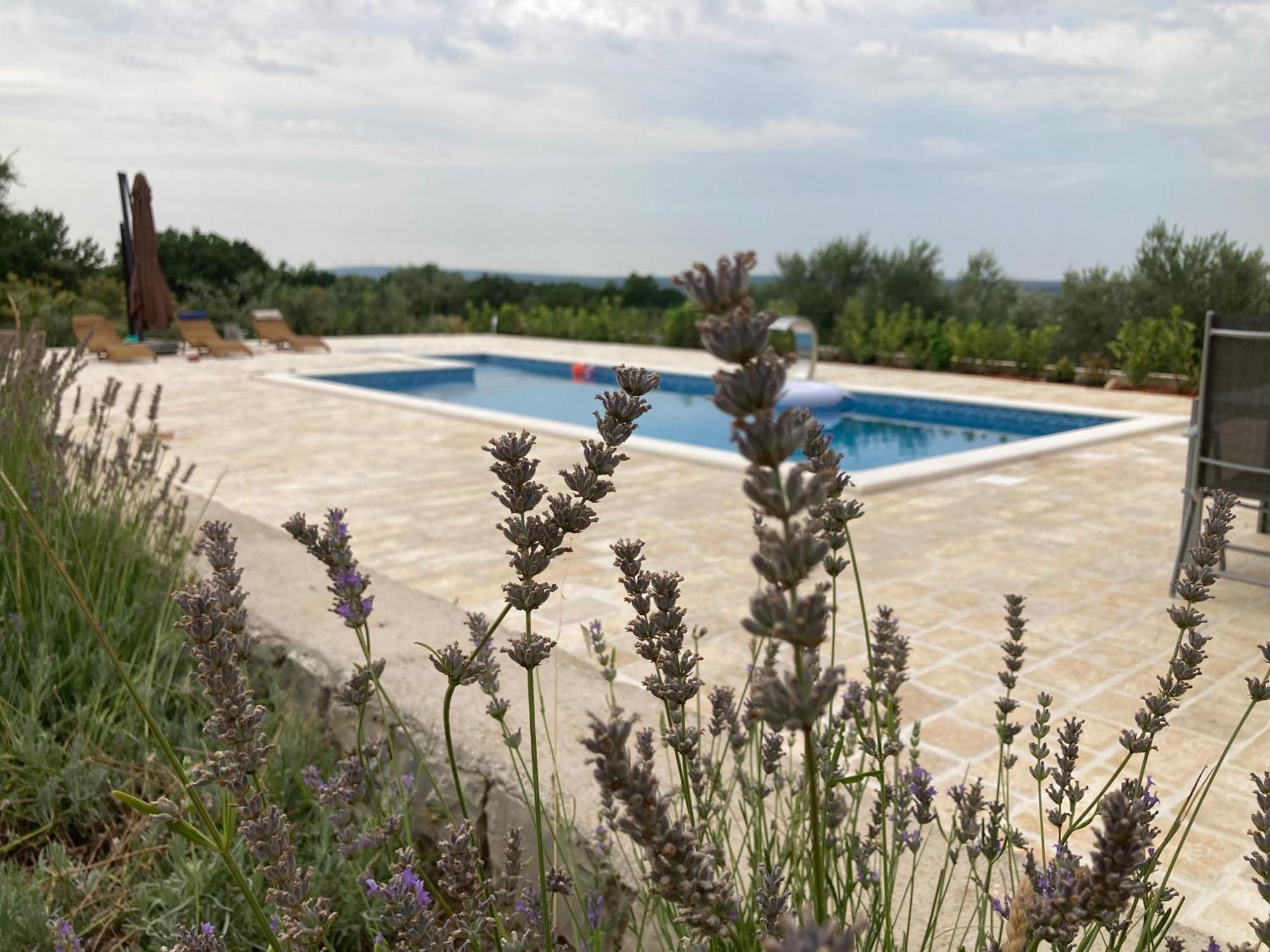 Villa Doci Задар Екстер'єр фото